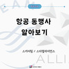 [항공] 스카이팀/스타얼라이언스,  항공사 항공동맹 알아보기